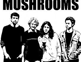 Almog Einav & The Mushrooms