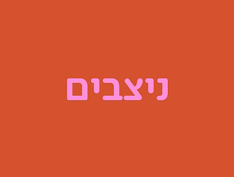 ניצבים