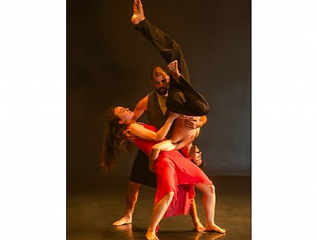 צילום: ליאת לרנר צילום: ליאת לרנר