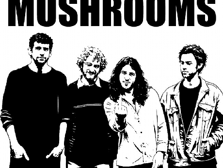 Almog Einav & The Mushrooms